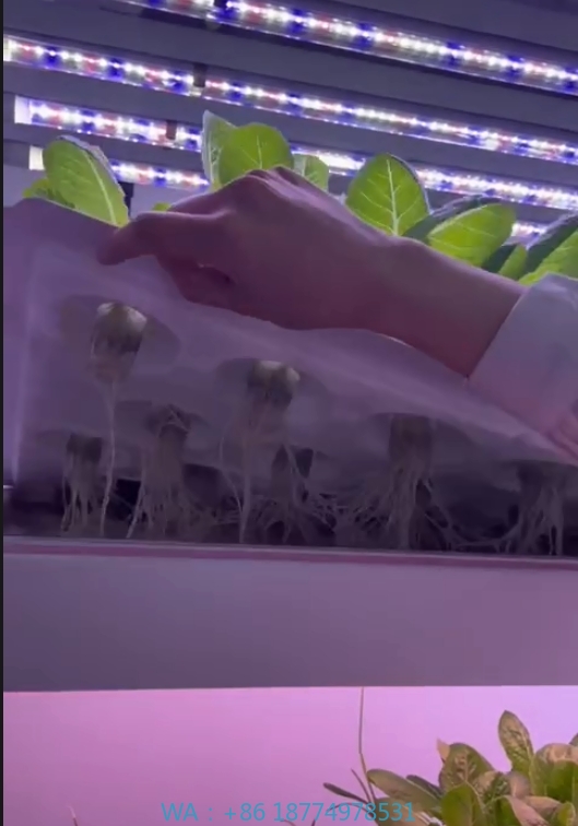 f Greenhouse Agricultural Equi - огляд і ціна Agriculture Farming System