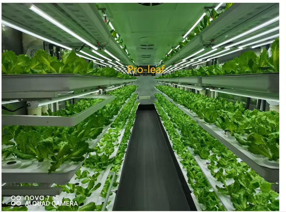 f Greenhouse Agricultural Equi - огляд і ціна Agriculture Farming System