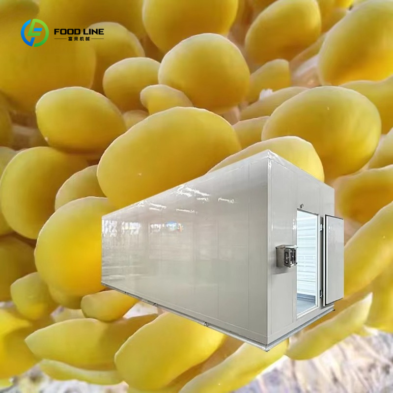 Smart Mushroom Growing Capsule - огляд і ціна Agriculture Farming Technology