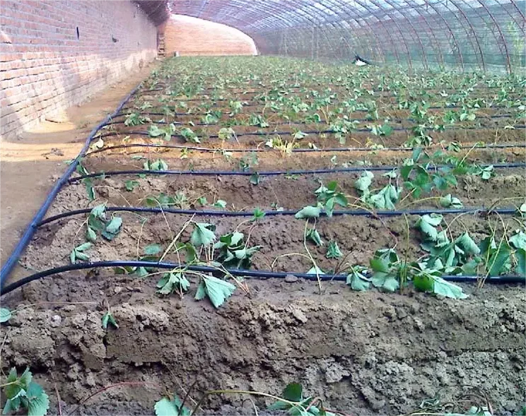 1HA Irrigation Kit Agricultura - огляд і ціна Agriculture Farming System